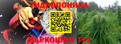 не бодяженный Камышлов