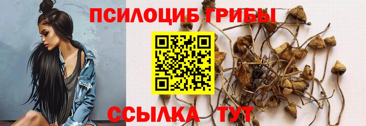 Галлюциногенные грибы прущие грибы  Вход с VPN  Кстово  Галлюциногенные грибы мицелий 