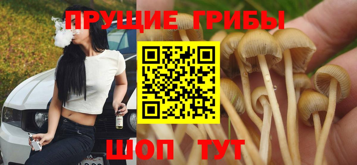 Канабис Кстово
